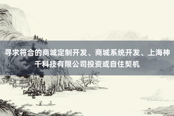 寻求符合的商城定制开发、商城系统开发、上海神千科技有限公司投资或自住契机