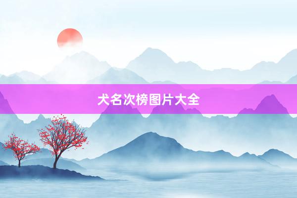 犬名次榜图片大全