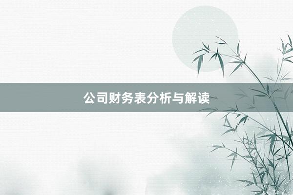 公司财务表分析与解读