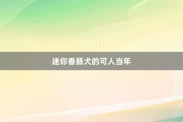 迷你香肠犬的可人当年
